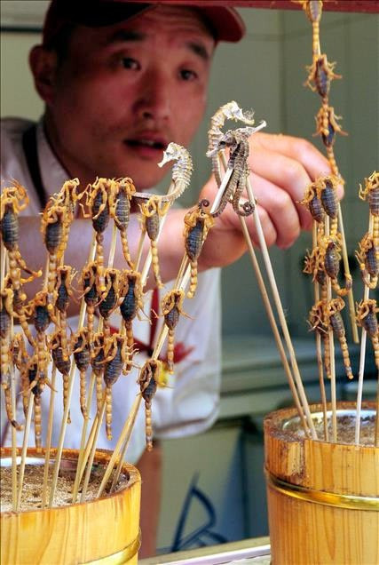 Her türlü böceği çöp şiş yapıp mideye indiriyorlar - Resim: 2