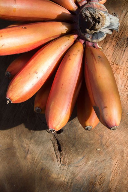 Her sabah yeyip kilo verdiler! - Resim: 2