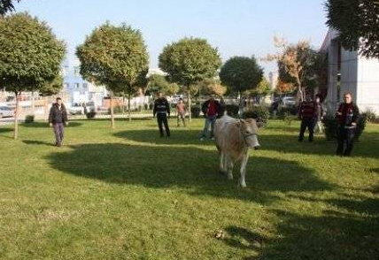 Yurdum insanından bayram manzaraları - Resim: 4