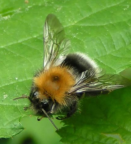 Bu işleri yapan köşeyi dönecek - Resim: 2