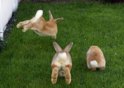 Bu kareler de sizin seçtikleriniz! - Resim: 3