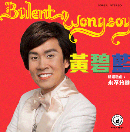 Bülent Ersoy'un tıpatıp benzeri Almanya'da çıktı - Resim: 2