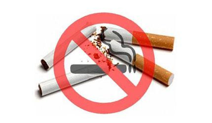 İşte torba yasayla gelen yenilikler - Resim: 2