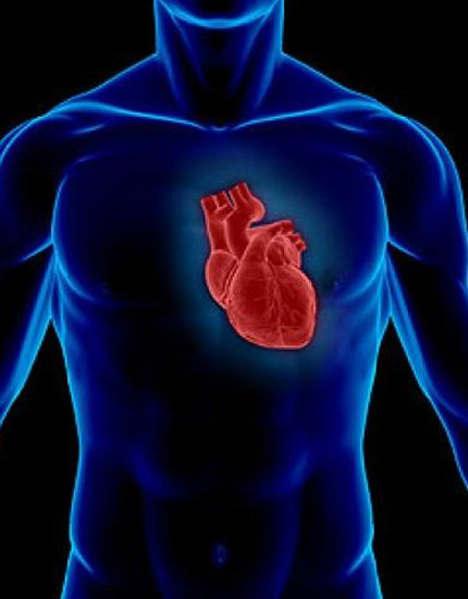 Vücudun şaşırtan gerçekleri - Resim: 1