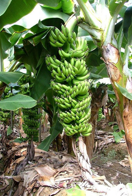 Bu pratik bilgiler hayatınızı çok kolaylaştıracak... - Resim: 4