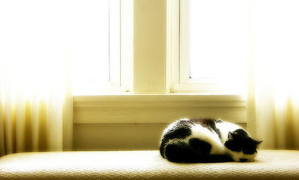 Klimadan oluşabilecek hastalıklara dikkat! - Resim: 4