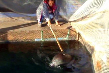 Badem'i sopayla böyle dövdüler - Resim: 2