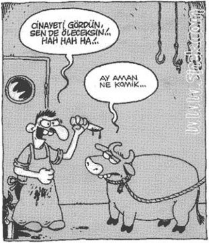 Günün en bomba karikatürleri - Resim: 4