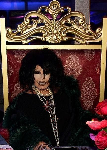 Sınır ötesi operasyon yaptırdı! Bülent Ersoy'un 2 çanta için ödediği ücreti duyan şok oldu - Resim: 2