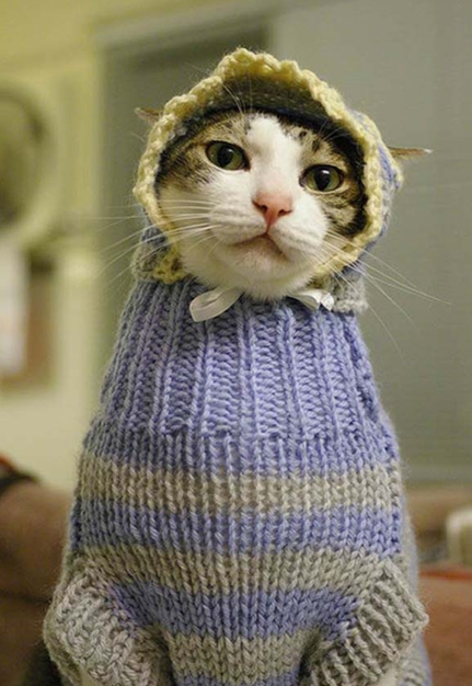 Gülümsemek için 30 sebep - Resim: 4