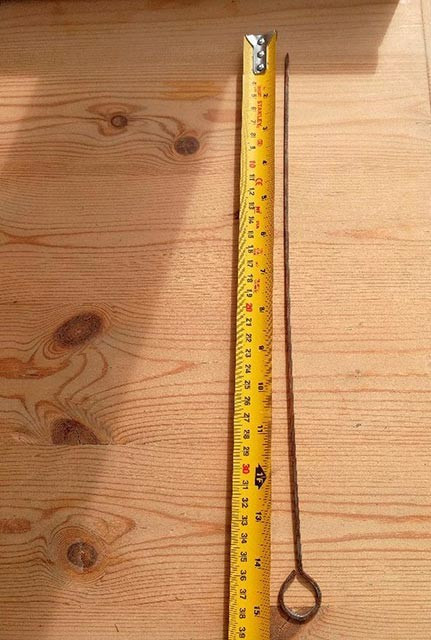 Köpeğin midesinden çıkan 15cmlik şiş! İnanılmaz ama gerçek - Resim: 3