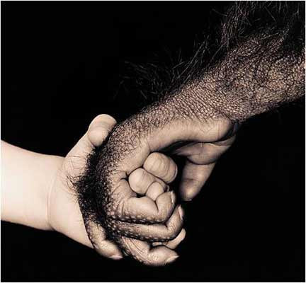 Enteresan ilişkiler sizi çok şaşırtacak! - Resim: 1