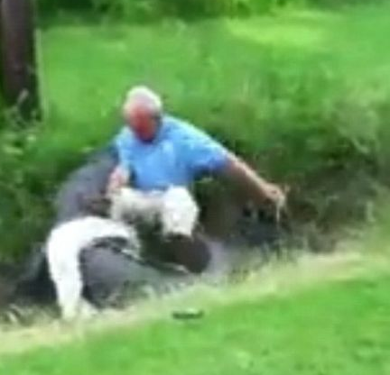 Tam timsaha yem oluyordu ki... - Resim: 4