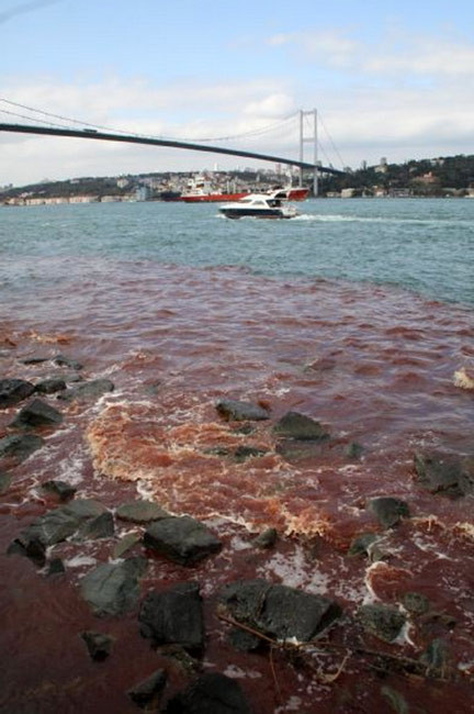 Boğaz yine kan gölüne döndü - Resim: 1