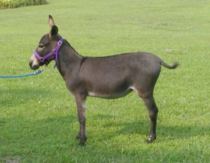 Trajikomik haberler - Resim: 4