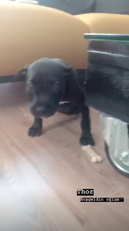 Rüzgar Erkoçlar Tuğba Beyazoğlu 9 ay önce evlendiler 'Biz artık üç kişiyiz' - Resim: 4