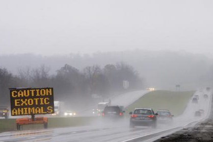 Dünya bu vahşeti konuşuyor - Resim: 3