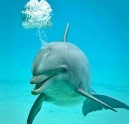 Haftanın rekor kıran kareleri - Resim: 3