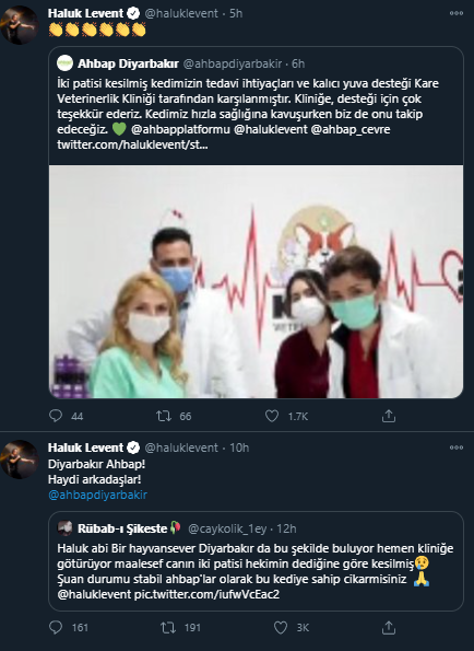 Büyü için kedilerin patilerini kesiyorlar! Diyarbakır'daki olaya Haluk Levent sessiz kalmadı - Resim: 3