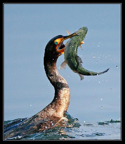 Seçilmiş fotoğraflar - Resim: 3