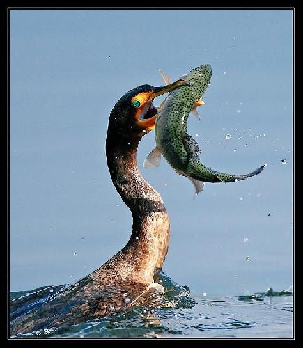 Seçilmiş fotoğraflar  - Resim: 3