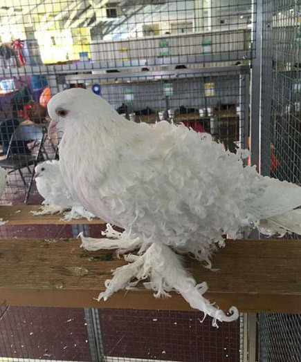 Günün en ilginç fotoğraf kareleri - Resim: 4