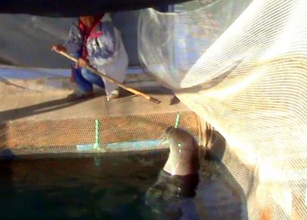 Badem'i sopayla böyle dövdüler - Resim: 3