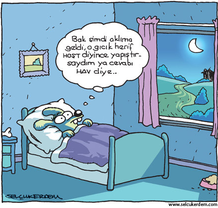 Günün en bomba karikatürleri - Resim: 1