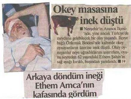 Burası Türkiye dedirten haberler - Resim: 1