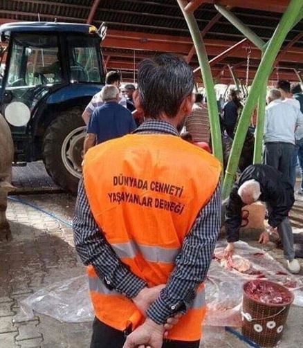 Bu anı görenler gözlerine inanamadı bir anda geldi ve... - Resim: 1