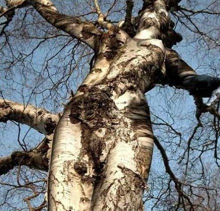 Dünyadan en ilginç kareler - Resim: 1