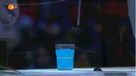 İnsan gibi kedi en iyi gif fotoğraflar - Resim: 3