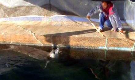 Badem'i sopayla böyle dövdüler - Resim: 1