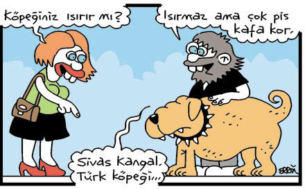 Günün en bomba karikatürleri - Resim: 2