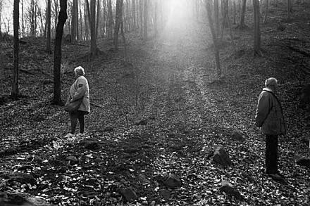 50 yıl içinde bunlar bitecek - Resim: 3