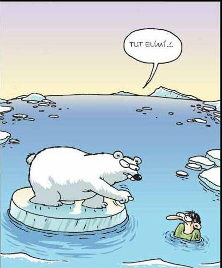 6. sınıf Türkçe kitabında kutup ayısından uygunsuz hareket! - Resim: 1