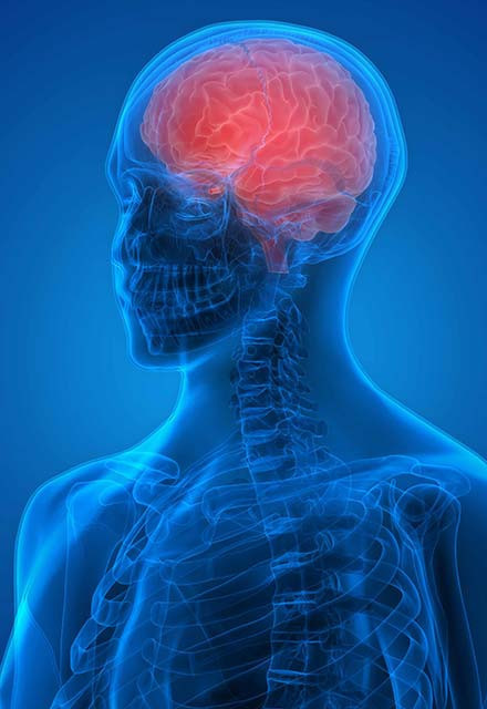 Faydalarını duyunca her gün yiyeceksiniz - Resim: 3