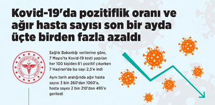 Covid 19'da kapanma sonrası Haziran ayı vakalar ne durumda? - Resim: 2