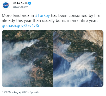 NASA, Türkiye'de orman yangınlarının uydu fotoğraflarını paylaştı - Resim: 0
