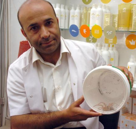 Et yiyen örümcek ürkütüyor! - Resim: 2