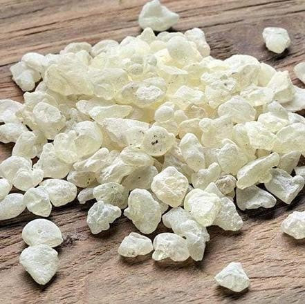 Kilosu bin liraya satılıyor çiftçilerin yeni umudu - Resim: 3