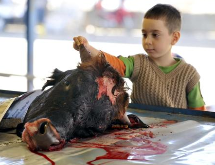 Çocukların gözü önünde kurban kesimi - Resim: 4