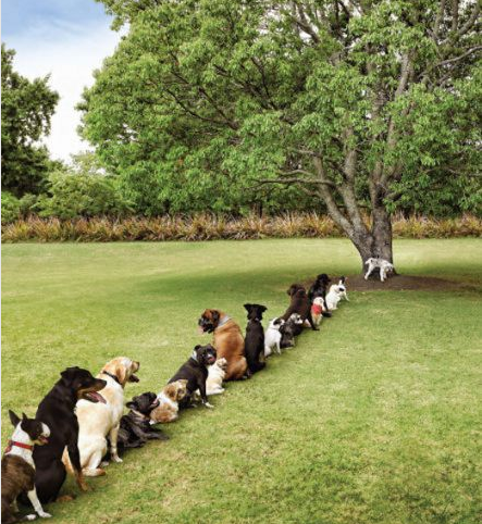 Haftayı kahkaha atarak bitirmek için... - Resim: 2