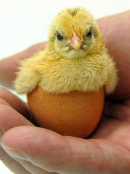 Haftanın tık rekoru kıran çılgın kareleri! - Resim: 2