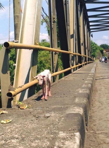 Son halini görünce şaşıracaksınız - Resim: 1