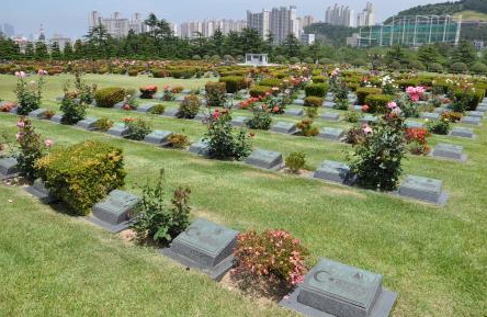 7 bin km ötedeki şehitlik - Resim: 2