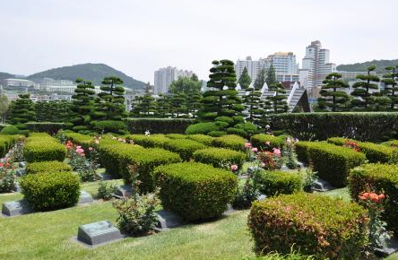 7 bin km ötedeki şehitlik - Resim: 4