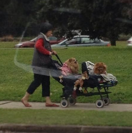 Genç kız ve erkek arkadaşı soyundu ve... - Resim: 3