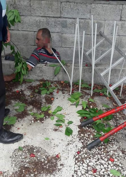 Kiraz toplarken boynuna demir saplandı - Resim: 1