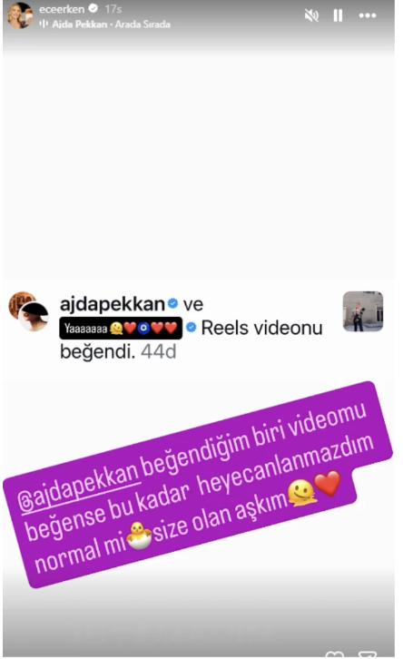 Ajda Pekkan'dan Ece Erken'in paylaşımına beğeni! - Resim: 3